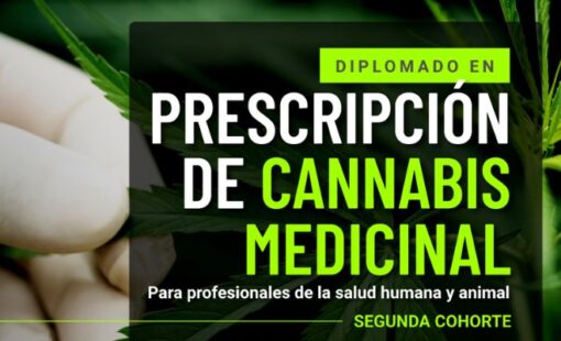 Diplomado._Cannabis_Preins