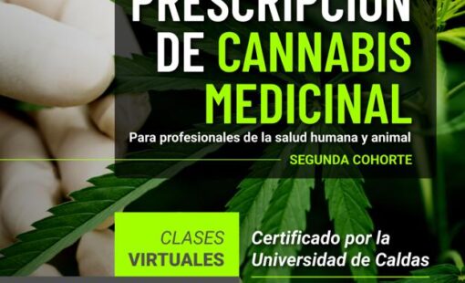 Diplomado_Cannabis