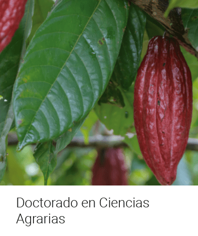 Doctorado en Ciencias Agrarias
