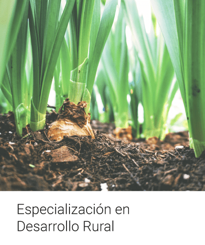 Especialización en Desarrollo Rural