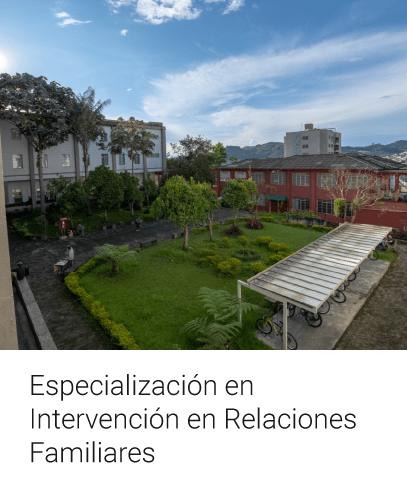 Especialización en Intervención en Relaciones Familiares