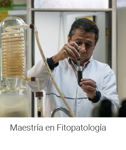 Maestría en Fitopatología