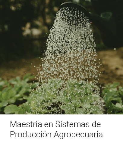 Maestría en Sistemas de Producción Agropecuaria