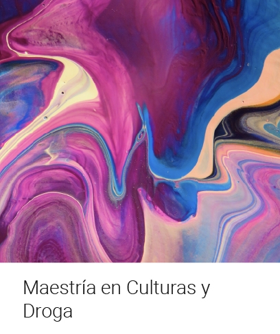 Maestría en Culturas y Droga