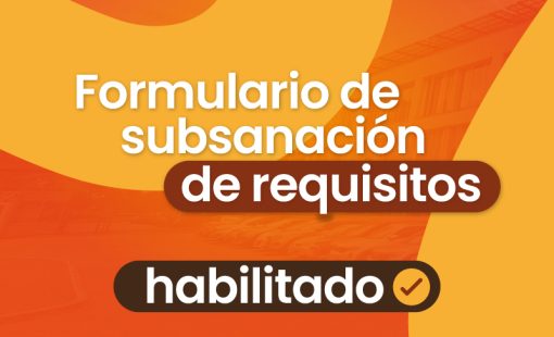 Portada-de-Subsanación